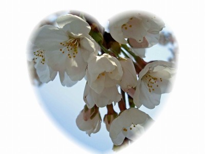 s-DSC00133_edited-01