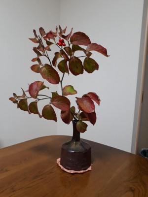 20191019_110349.jpg